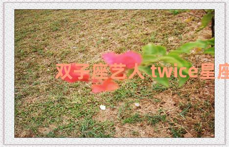 双子座艺人 twice星座